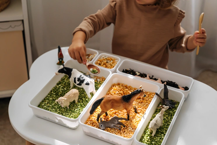 A child practices sensory activities for kids with autism by scooping beans and corn kernels around toy farm animals.